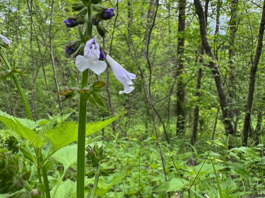 Salato Wildlife Education Center-法兰克福必去景点