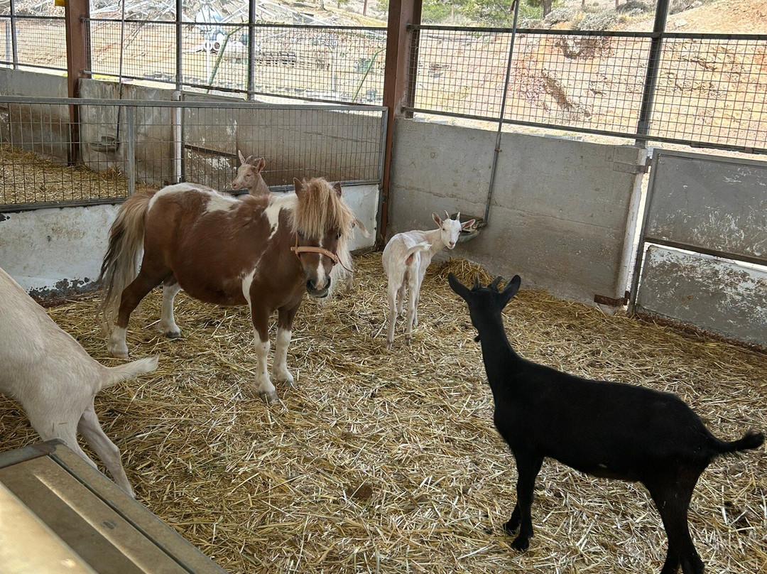 Riverland Bio Farm-尼科西亚必去景点