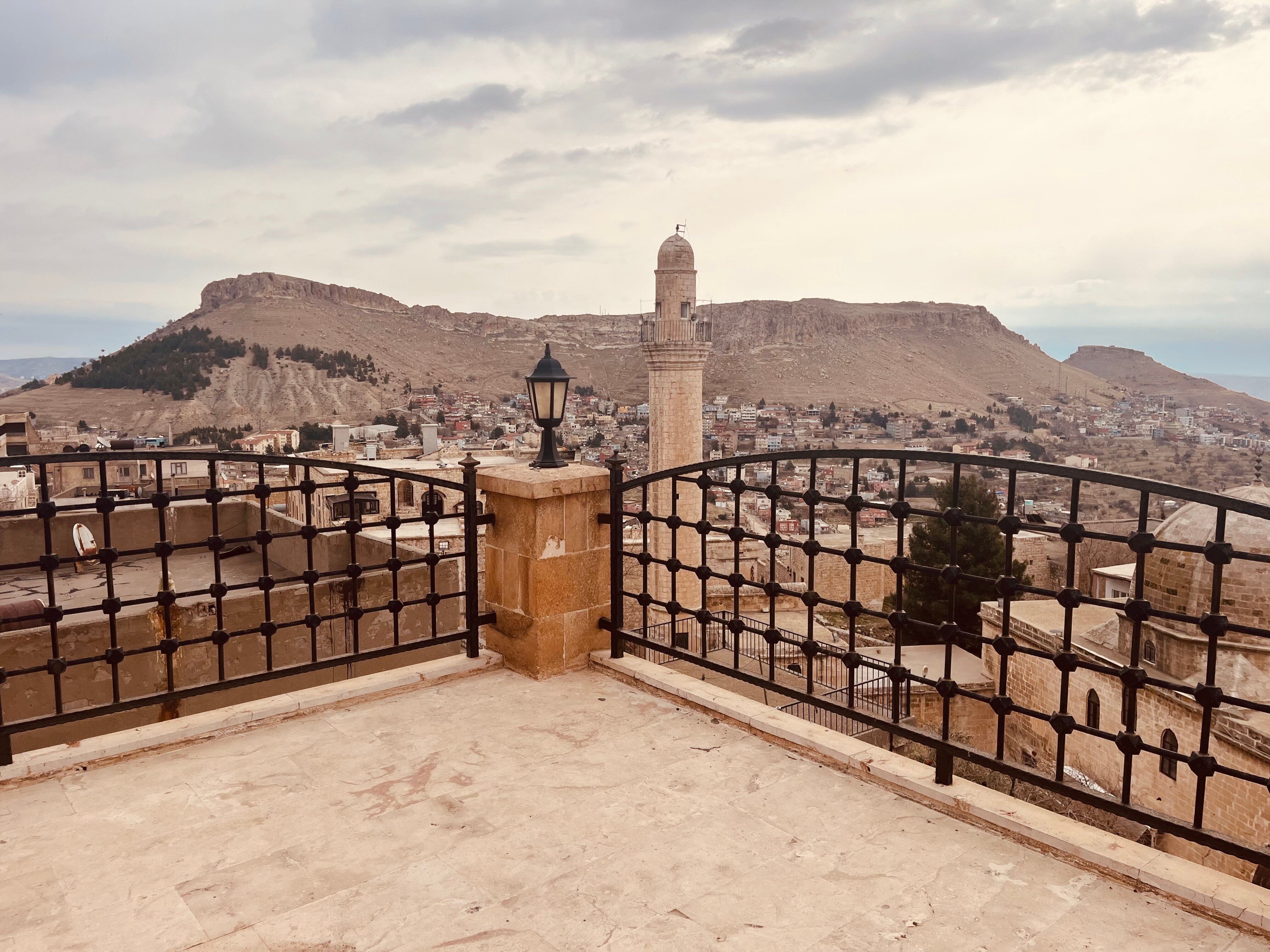 Darius Konagi-官方