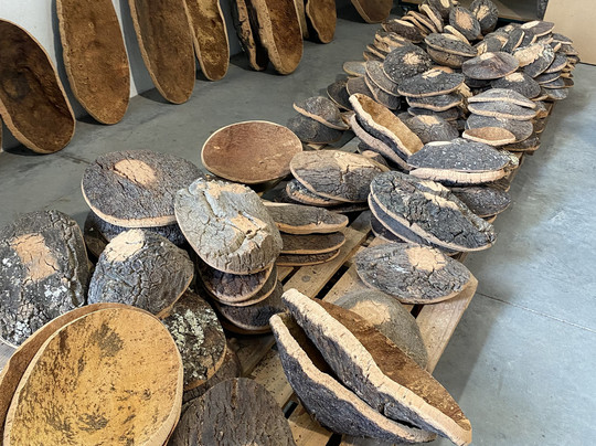 Corticarte - Arte em Cortica-Azaruja必去景点