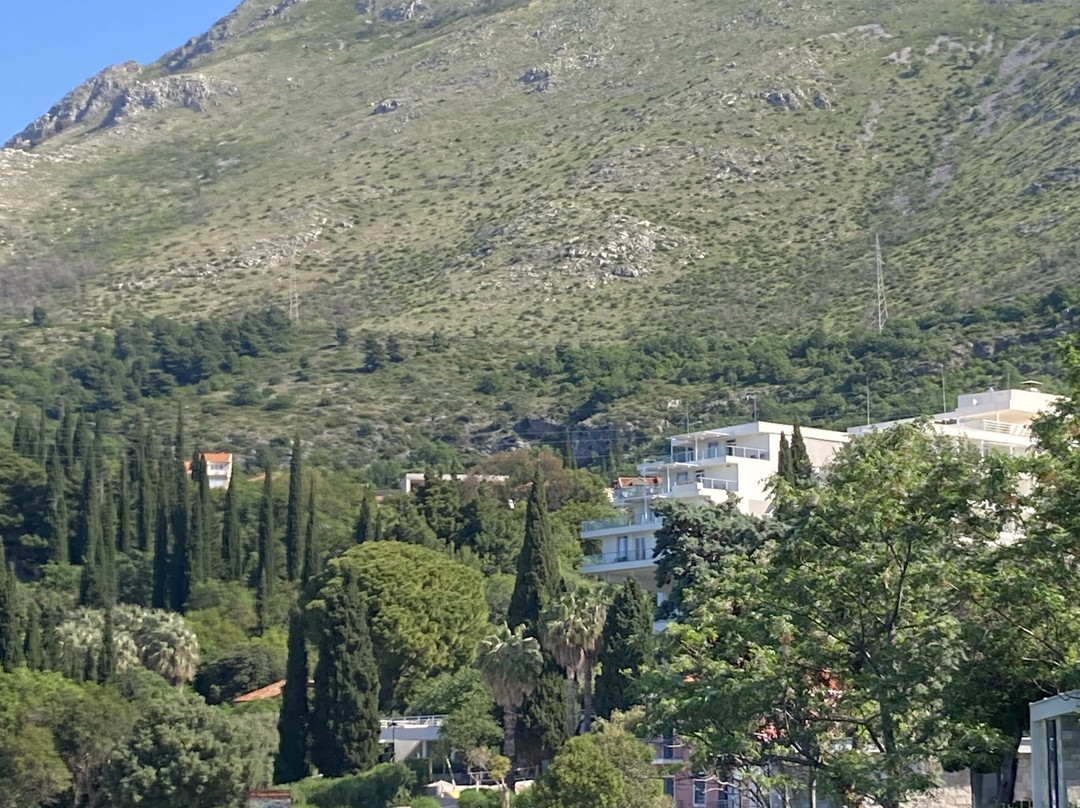 Mlini Villas and Apartments主图