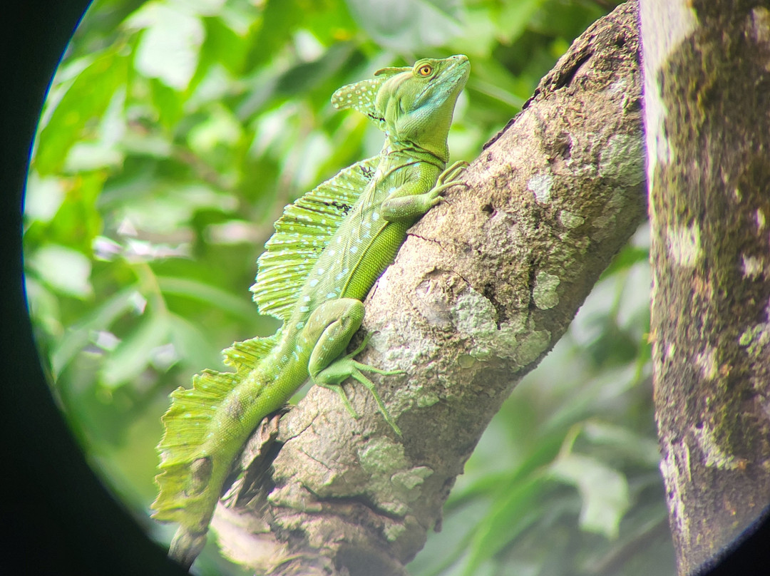 Guanadriver CR. Tours and Transfers in Costa Rica-利比里亚必去景点