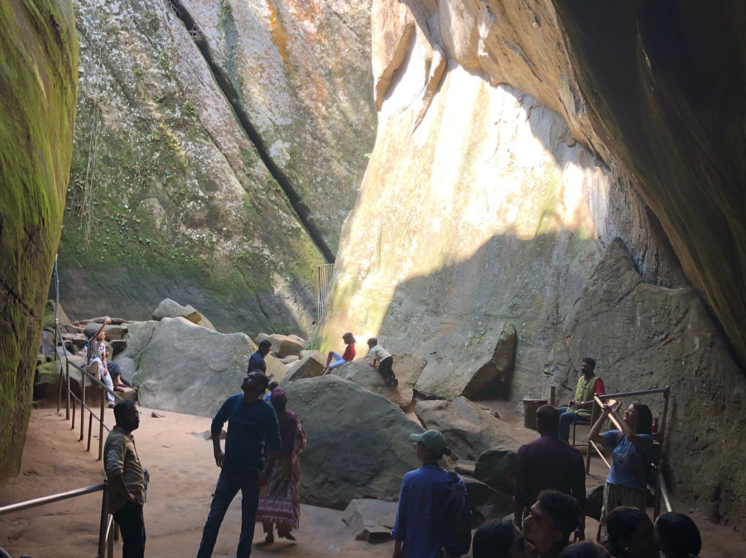 Wayanad Nature Tours-卡尔贝塔必去景点
