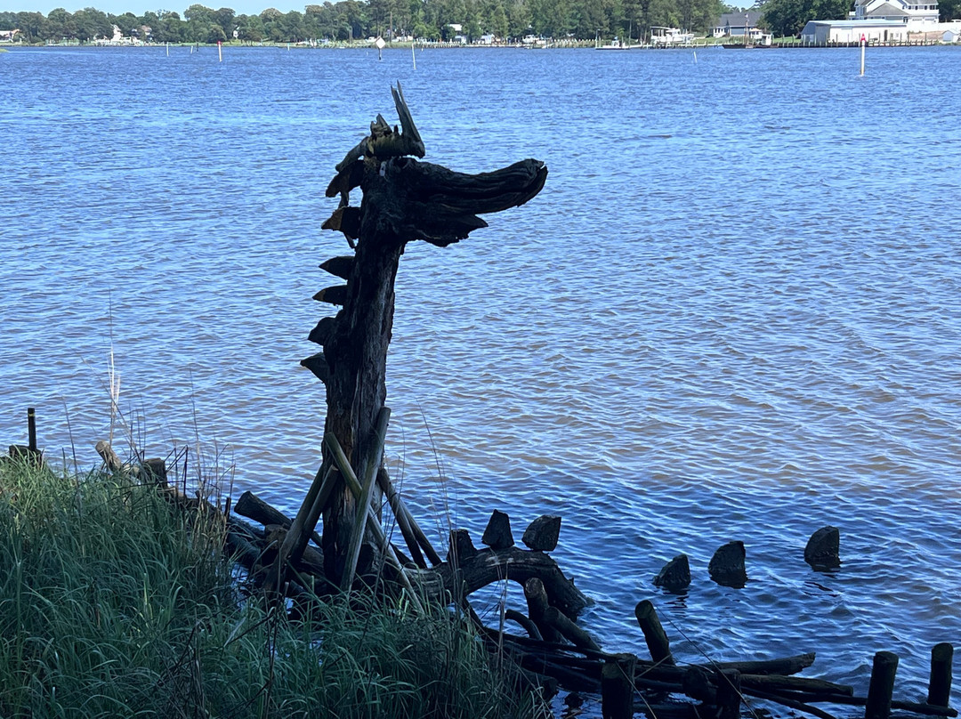 Delaware Botanic Gardens-Dagsboro必去景点