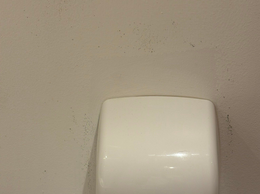 Premier Inn Edinburgh A1 (musselburgh) Hotel主图
