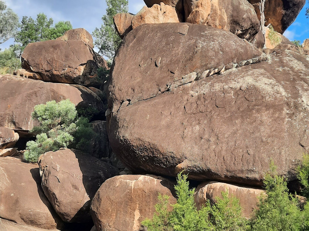 Cranky Rock Nature Reserve景点图片