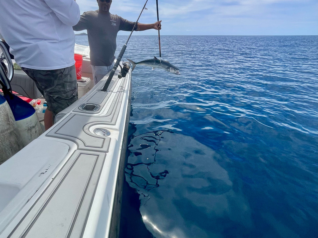 Local Flavor Charters-克鲁兹湾必去景点