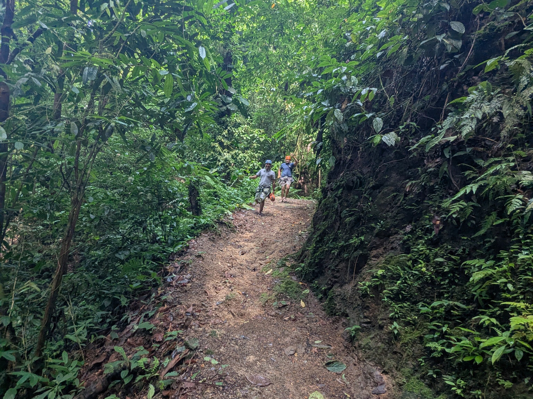 ADR Adventure Park-哥斯达黎加安东尼奥国家公园必去景点