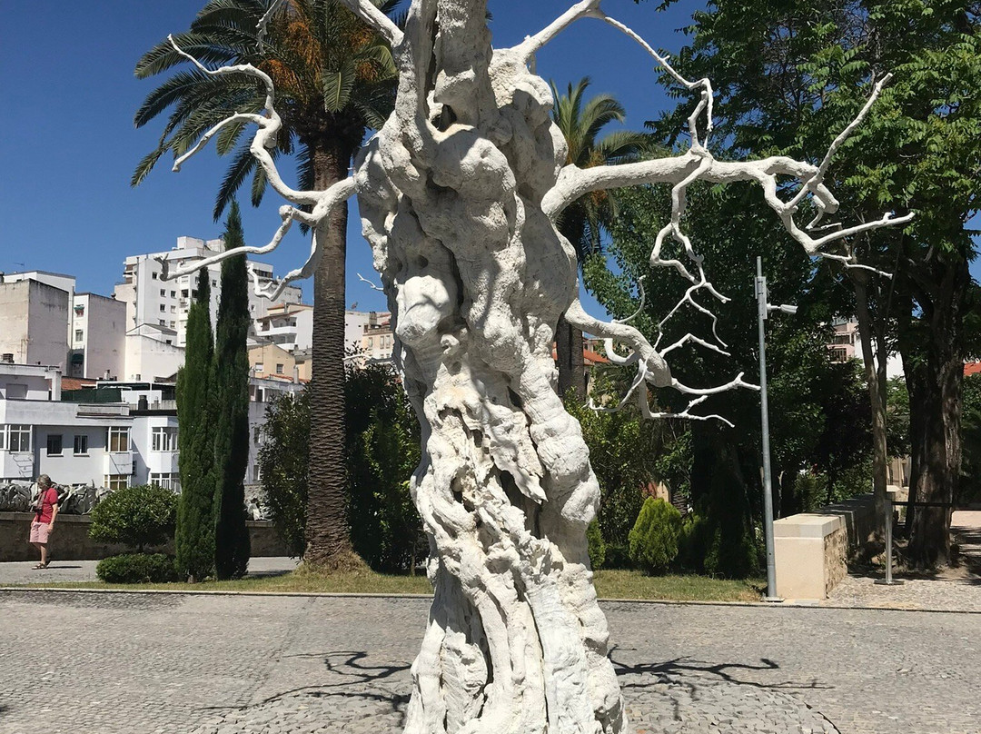Museo De Arte Contemporáneo Helga De Alvear景点图片