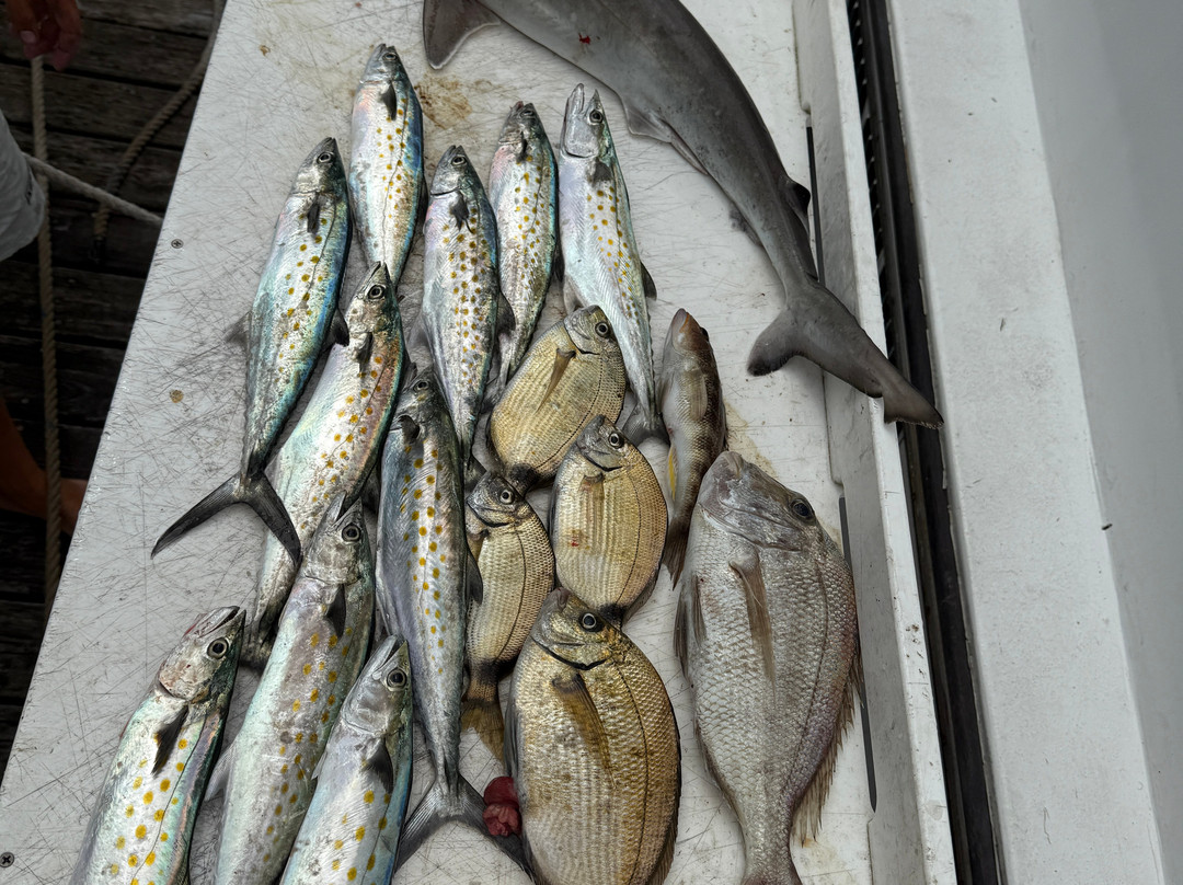 Calabash Fishing Fleet景点图片