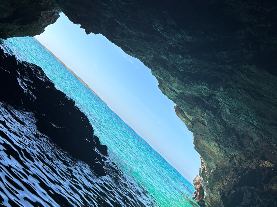 BlackLizzard - Punta Prima Water Sports-Punta Prima必去景点