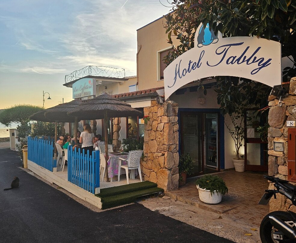 Hotel Tabby主图