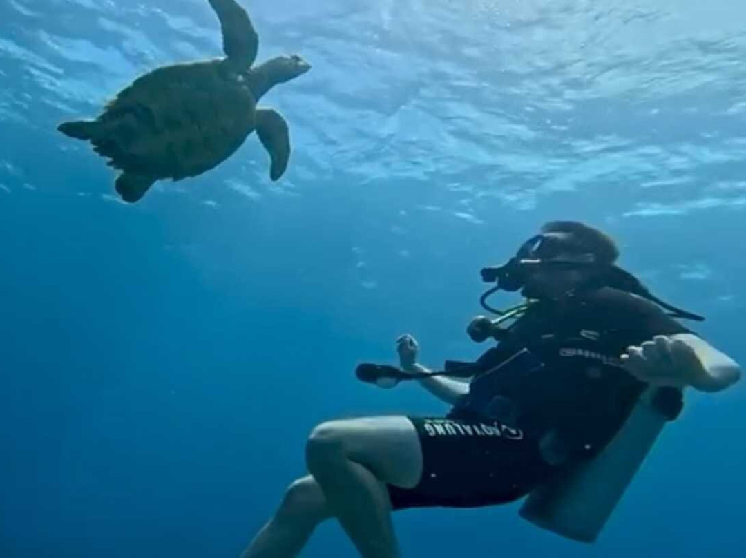 Scubafun-Bayahibe必去景点