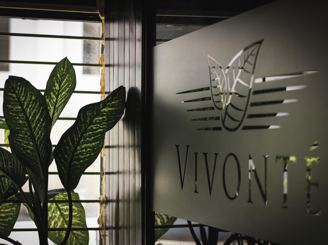 Vivonte Cigars-普拉塔港必去景点