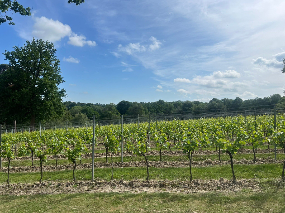 Leonardslee Wine Estate景点图片