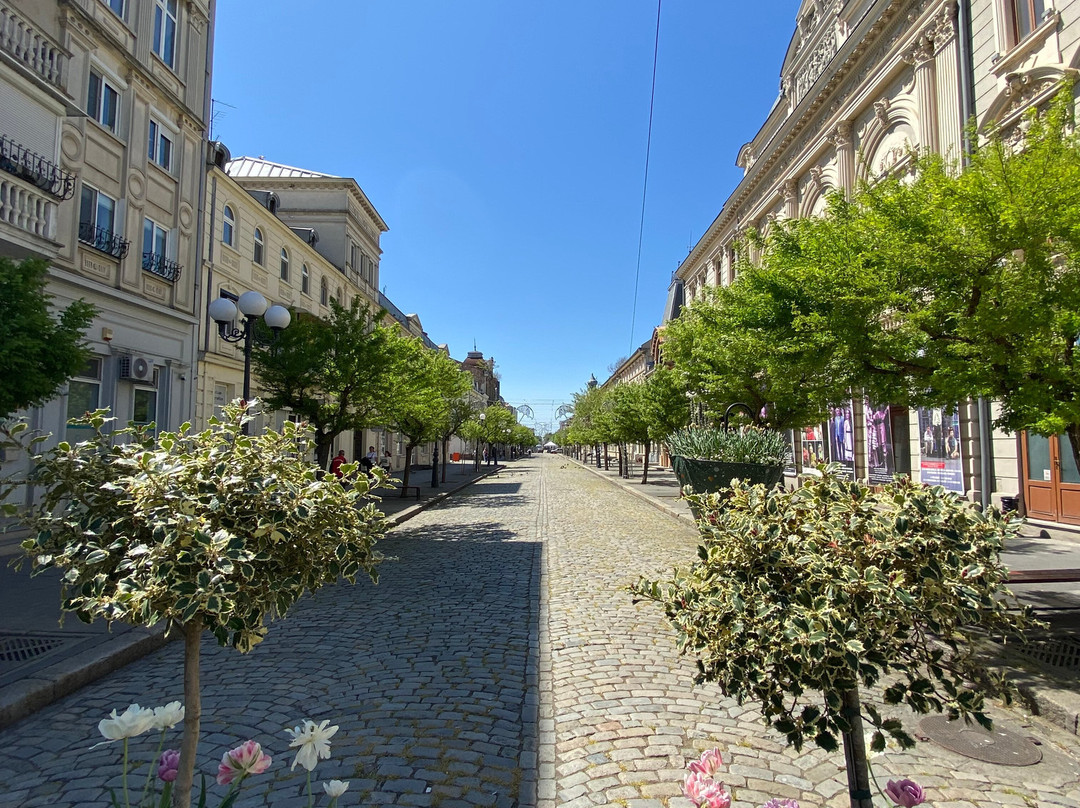 Braila city tour /Tur ghidat Braila景点图片
