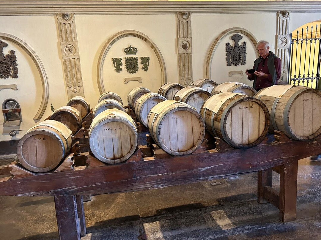 Olivicola Laur-Maipu必去景点