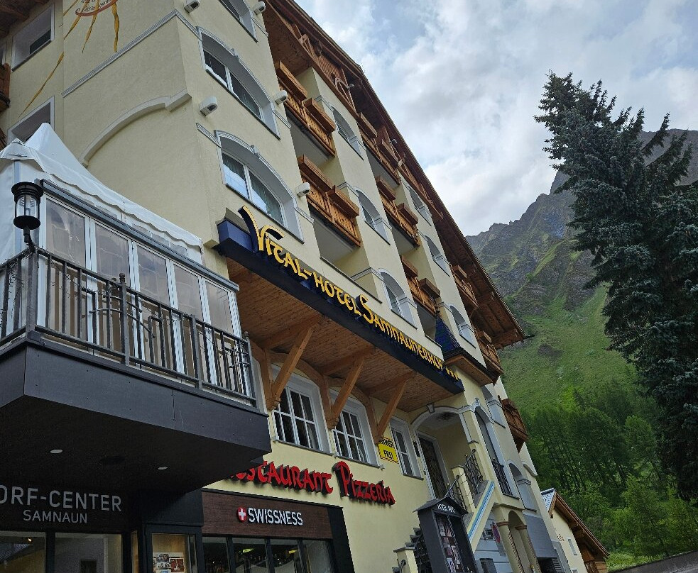 Samnaunerhof Vital-Hotel主图