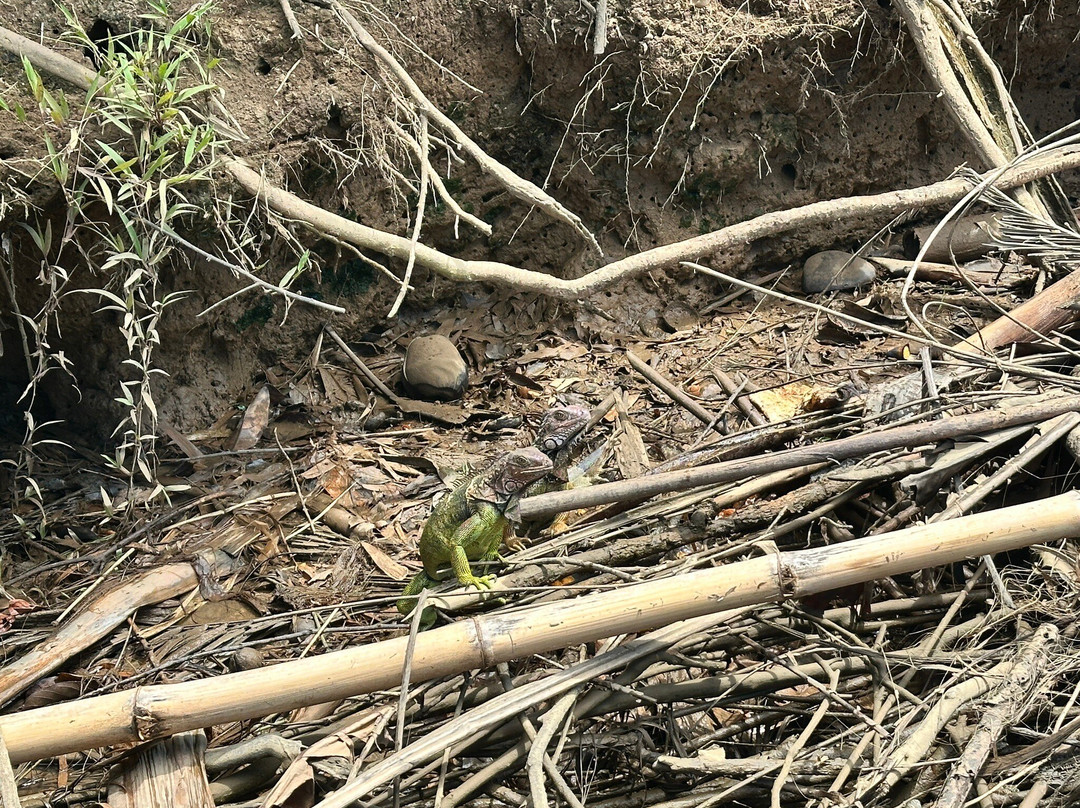 Kokopelli Wildlife Tours景点图片