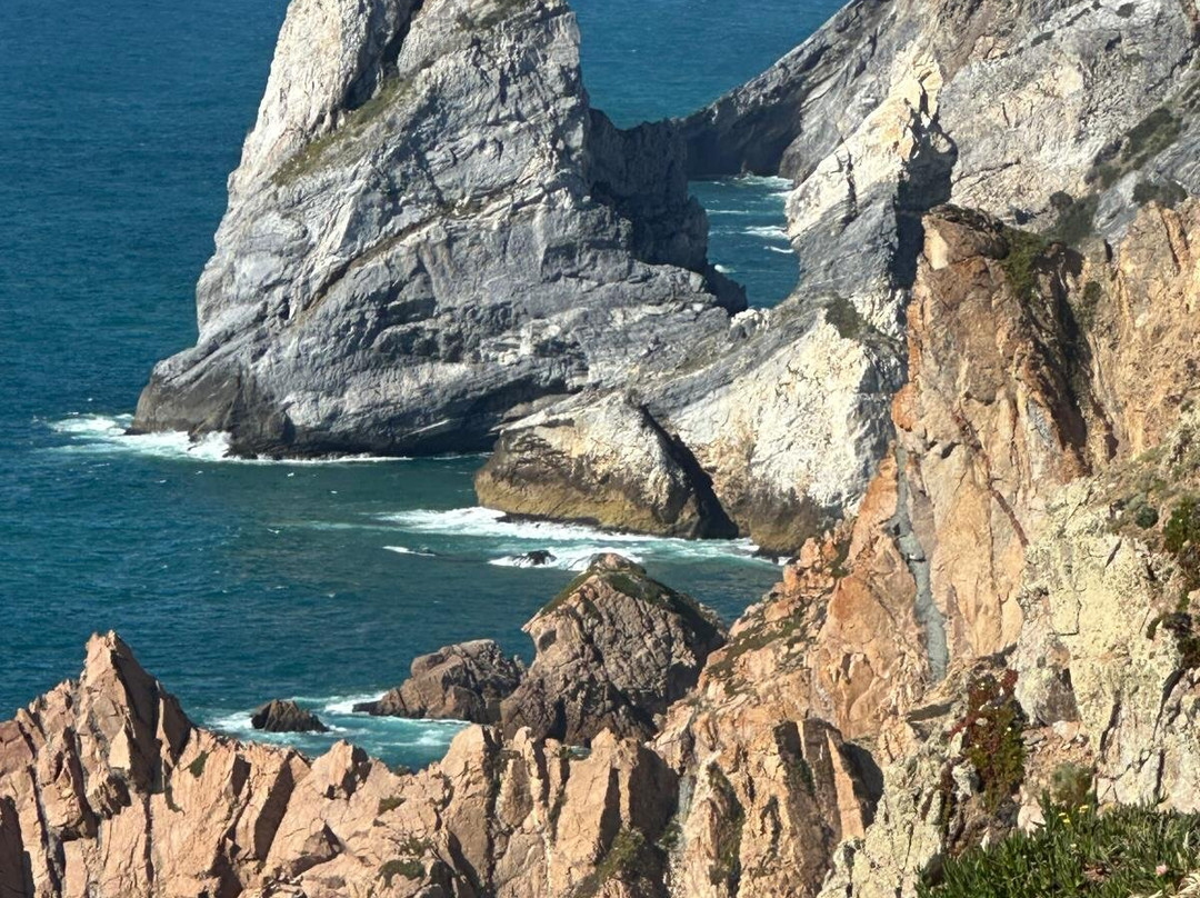 Splendid Portugal-波尔图必去景点