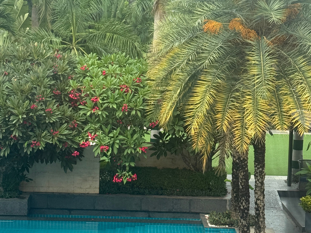 The Crown, Bhubaneswar - Ihcl Seleqtions主图