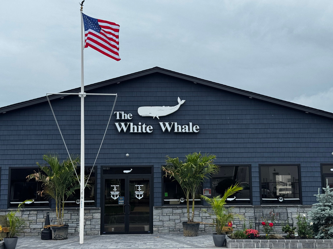 The White Whale