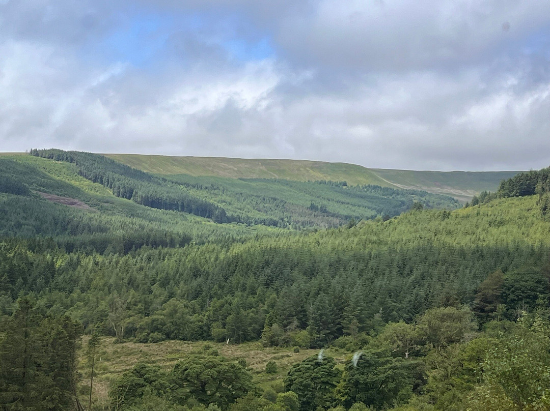 Brecon Mountain Railway景点图片