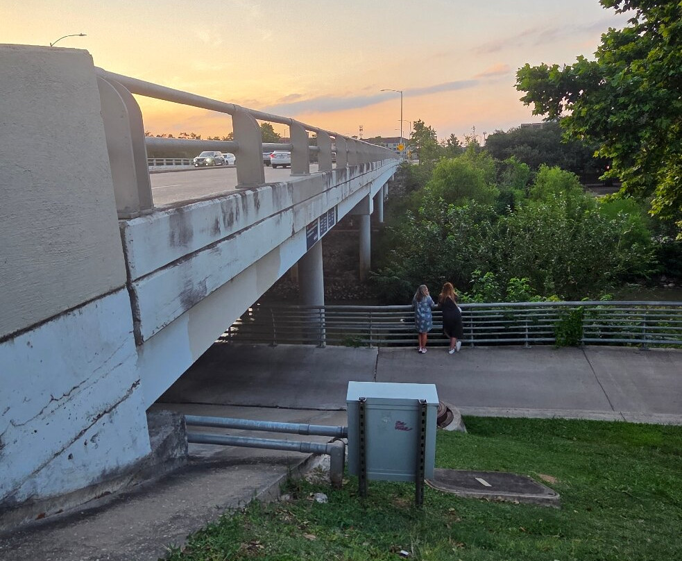 Waugh Drive Bat Colony-休斯顿必去景点