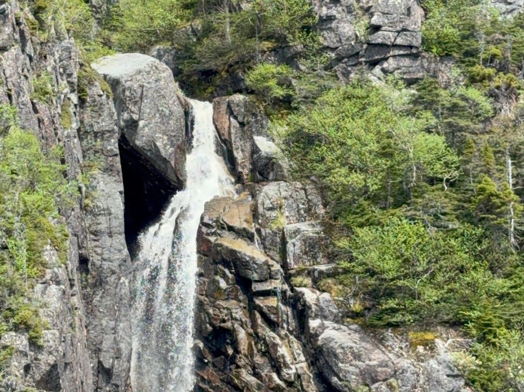 BonTours Boat Tours-Rocky Harbour必去景点