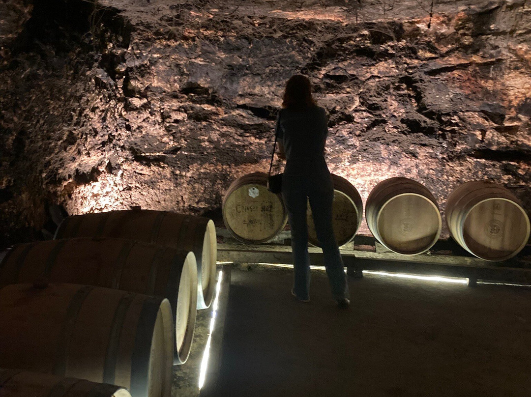 Bodegas Jesus Diaz e Hijos-Colmenar de Oreja必去景点