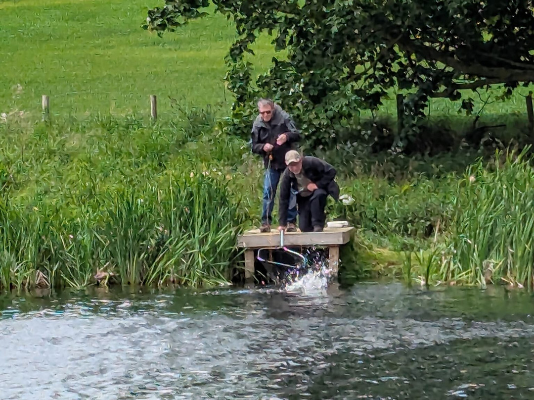 Wormit Trout Fishery-Wormit必去景点