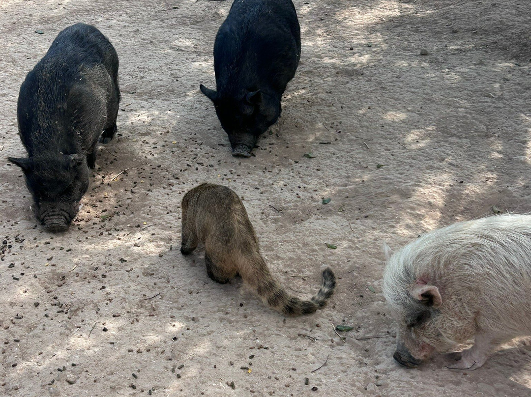 Quinta Fotoplanet Farm
