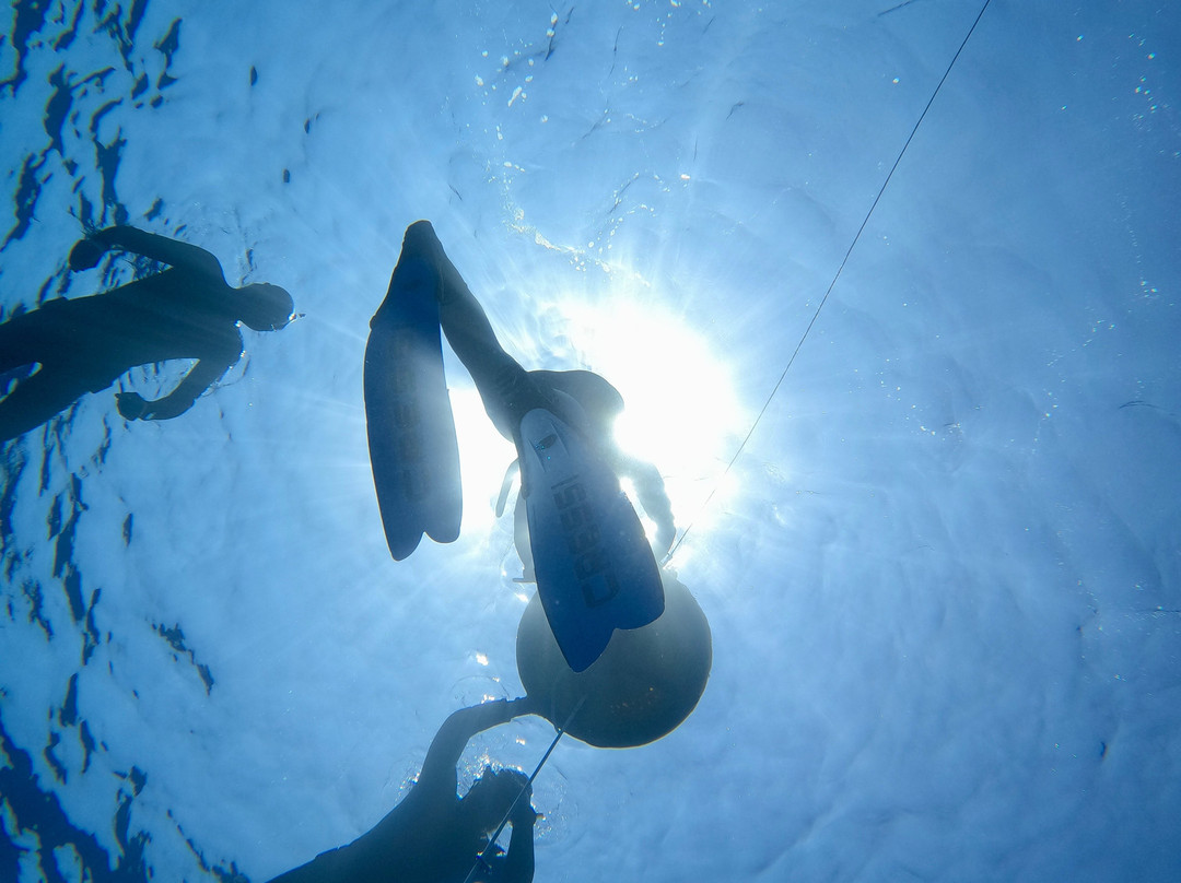 Seawater Society Charters - Malta-马耳他岛必去景点