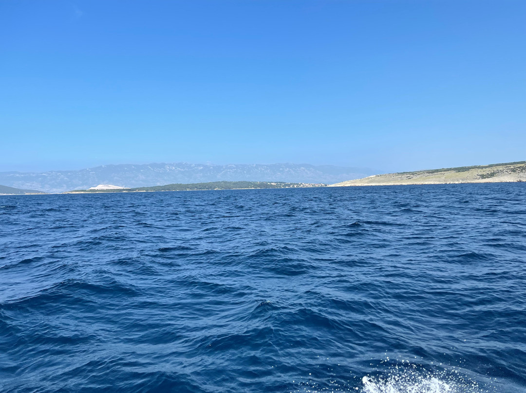 Kron Diving Center景点图片