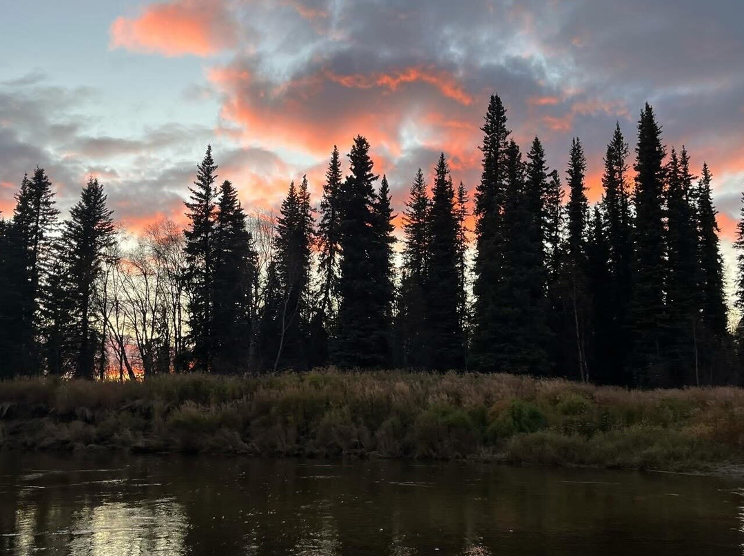 Redsky Wildlife Adventures