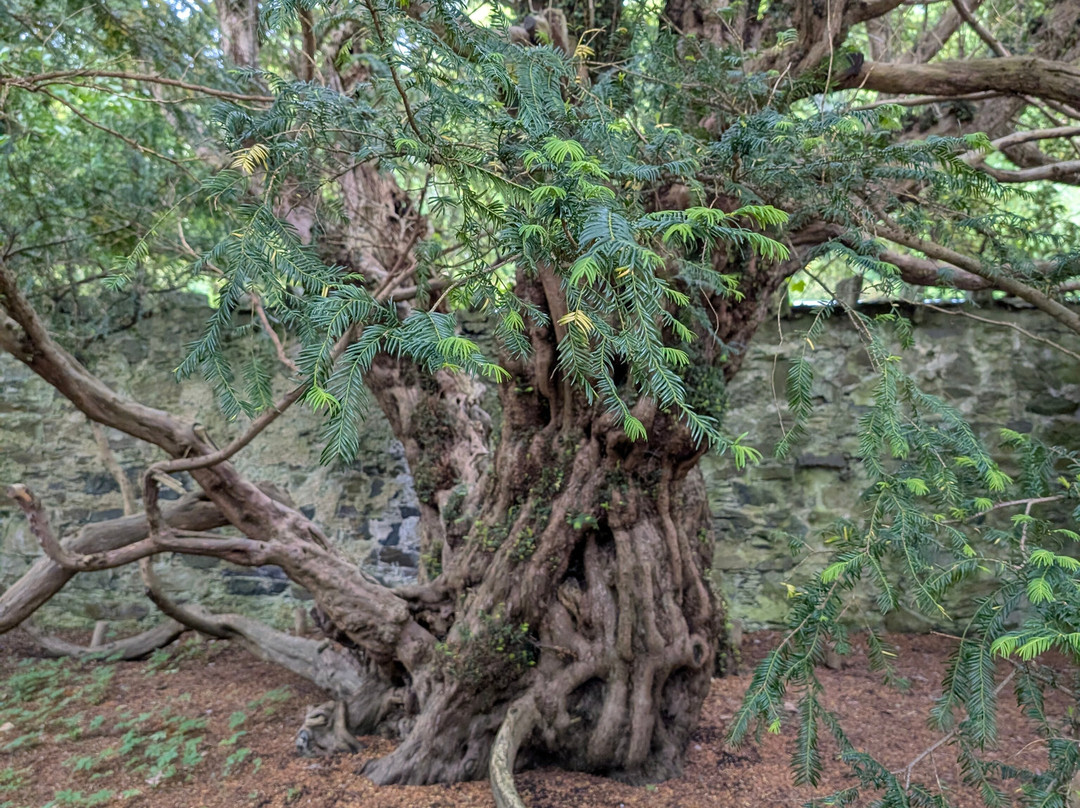 Heartland Tours-皮特洛赫里必去景点