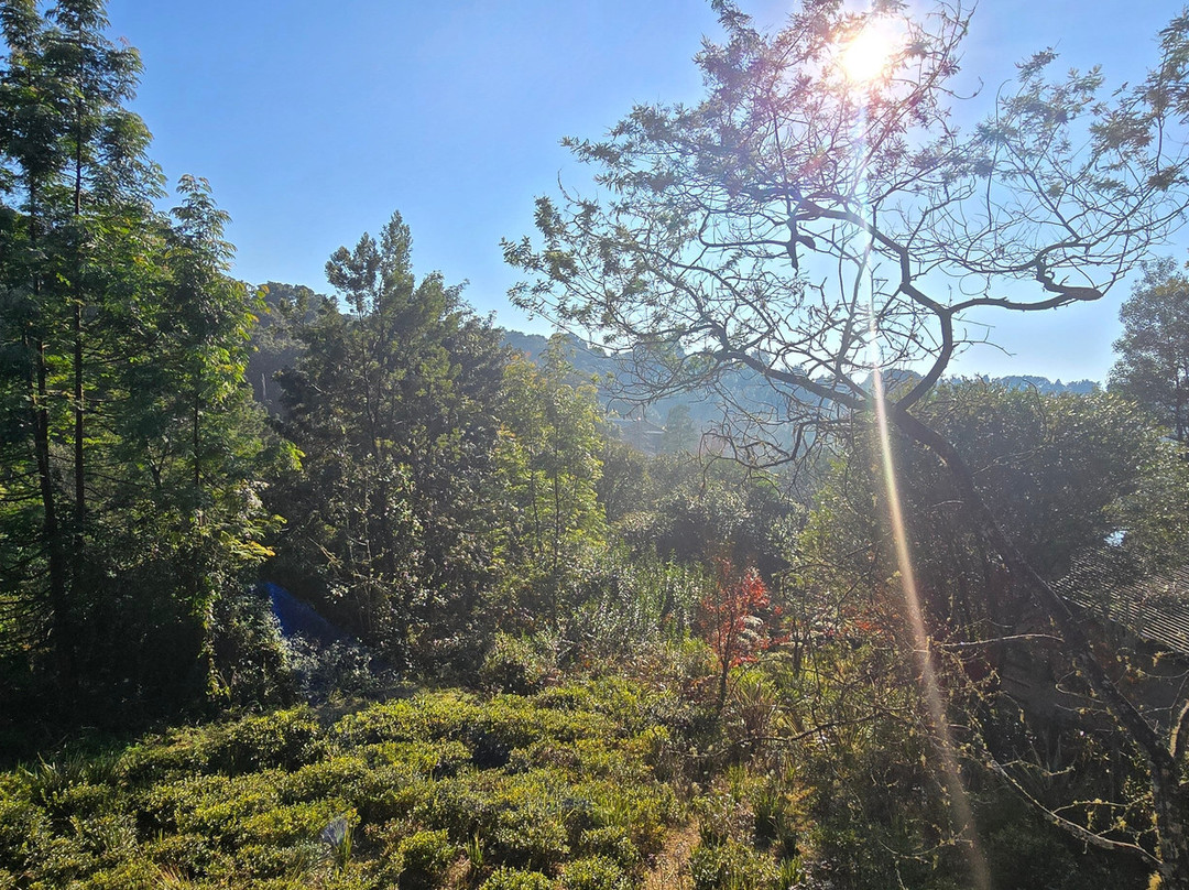 Bramasole Boutique Hotel主图