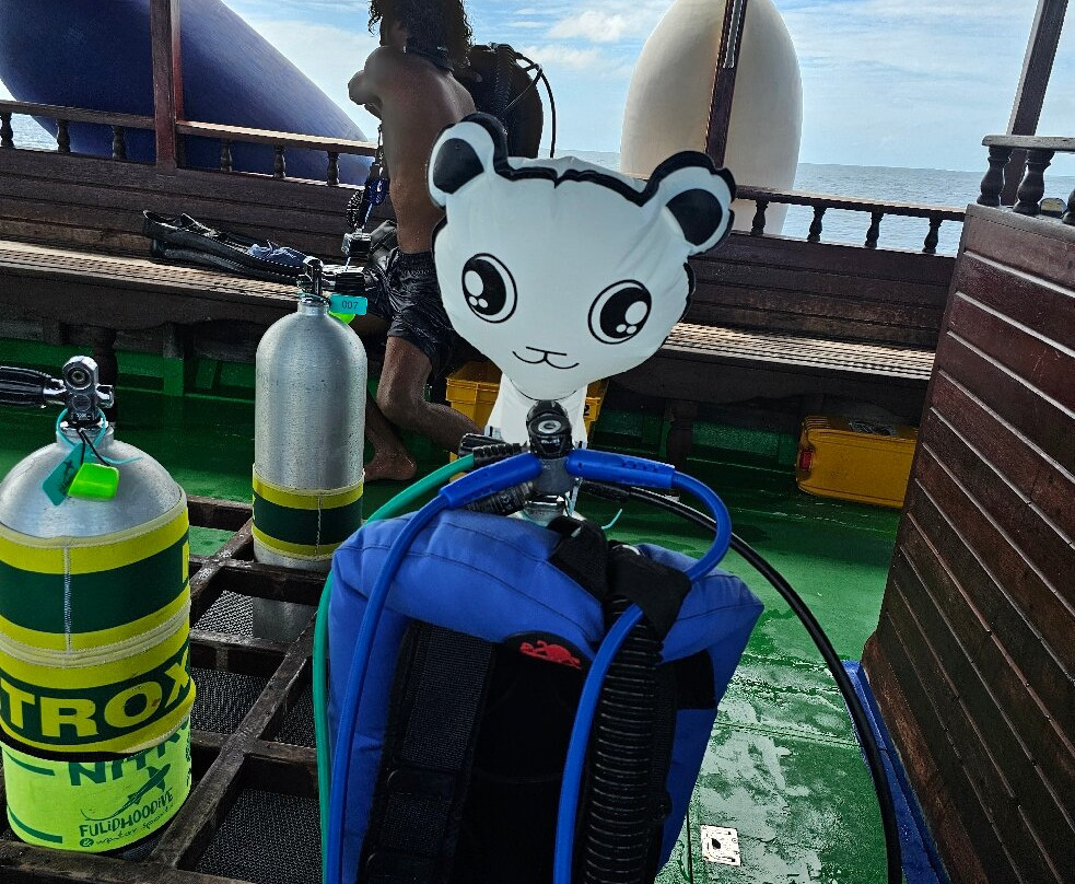 Fulidhoo Dive & Water Sports景点图片