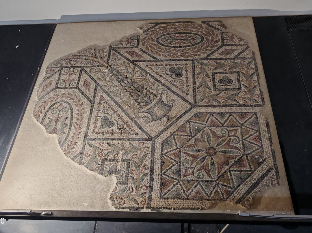 Civico Museo Archeologico e della Città di Savona-萨沃纳必去景点