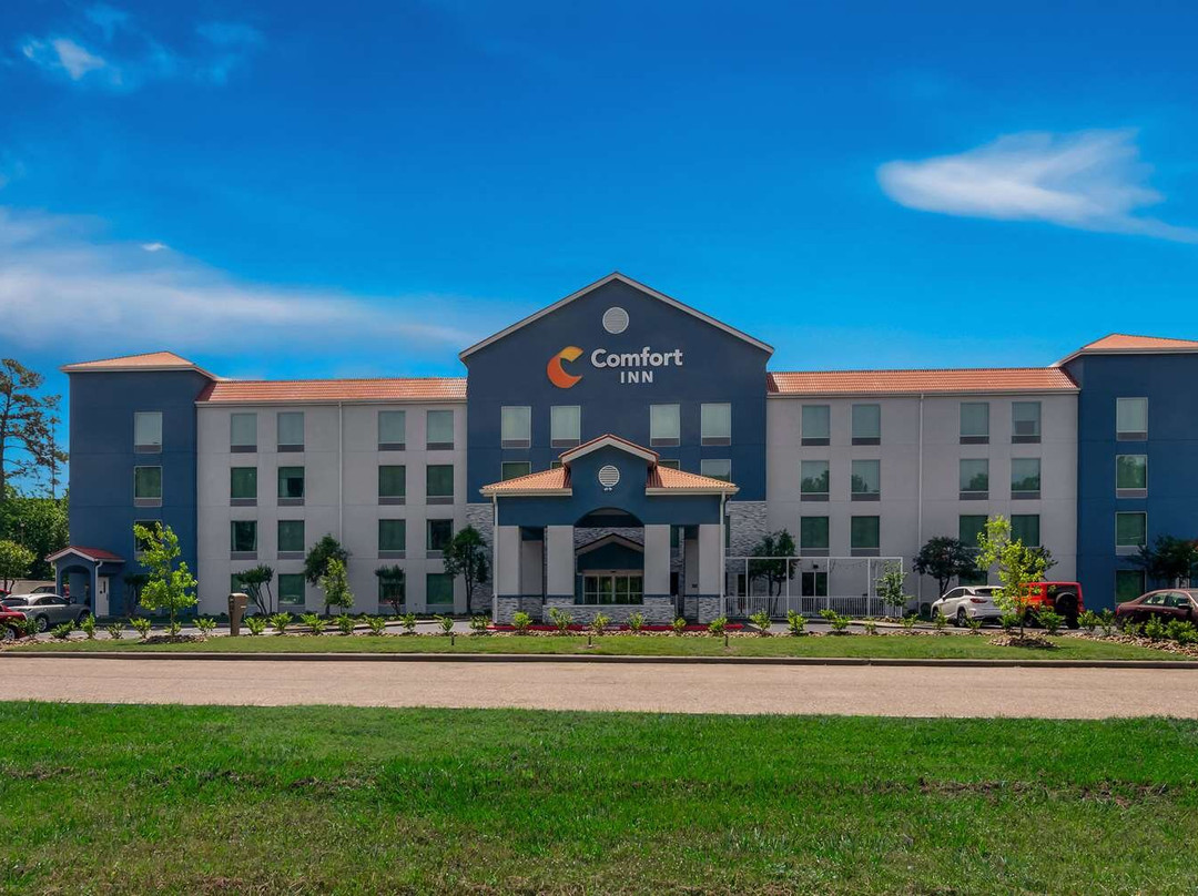 Comfort Inn Conroe