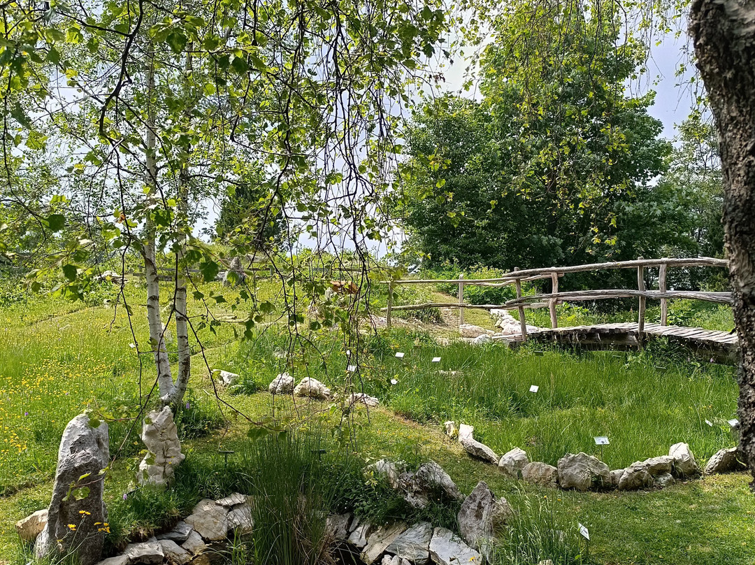 Giardino Botanico delle Alpi Orientali-Nevegal必去景点