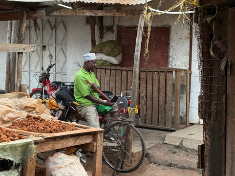 Safari by Leo-莫西必去景点