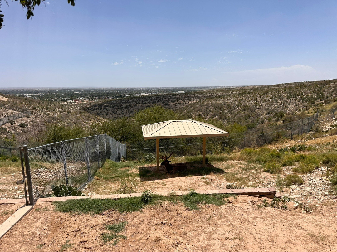 Living Desert Zoo and Gardens State Park-卡尔斯巴德必去景点