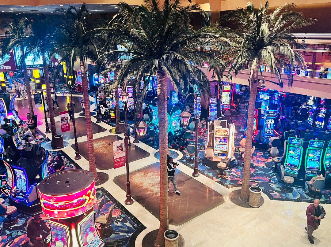 Tropicana Casino-大西洋城必去景点