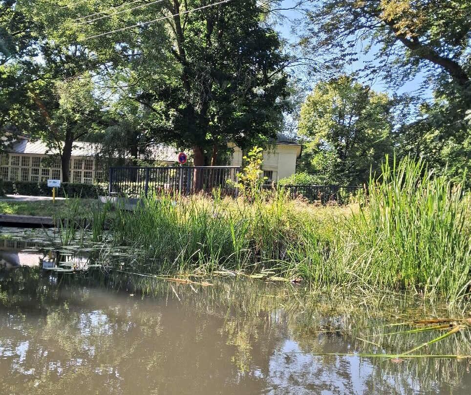 Kahnfahrten im Spreewald-吕贝瑙必去景点