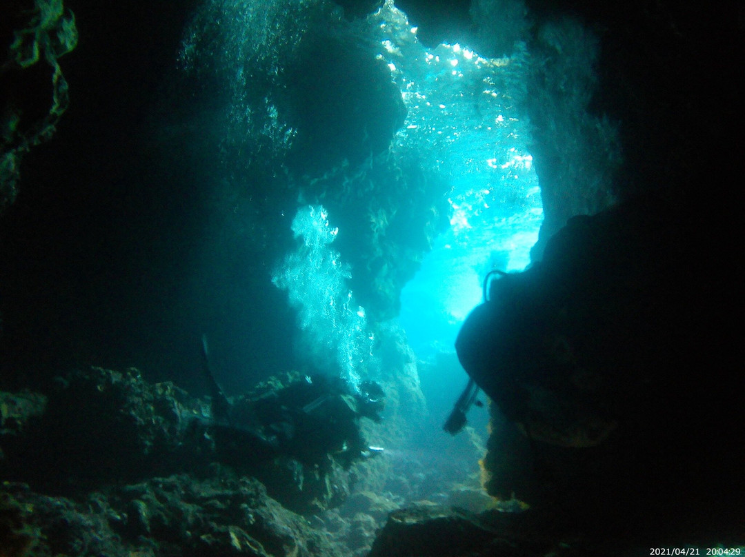 Evasioni Blu Diving Ustica-Ustica必去景点