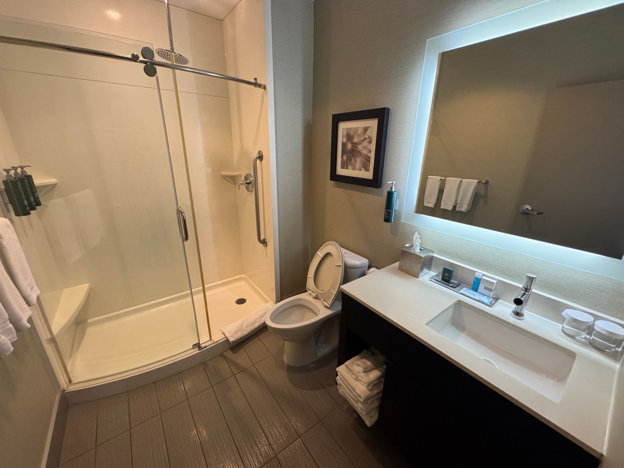 The Hollis Halifax - A Doubletree Suites By Hilton-浴室