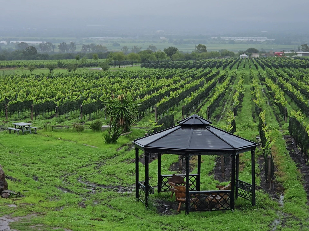 Vinaltura-Colon必去景点