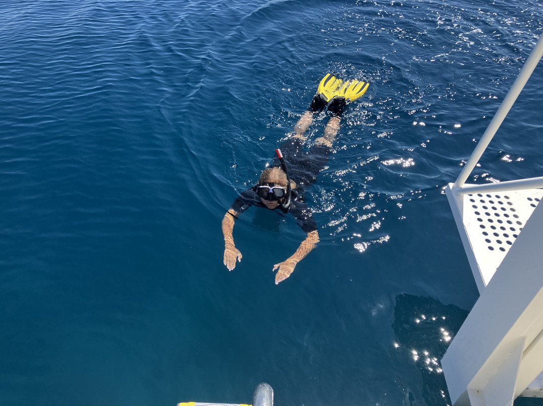 Just Dive Croatia-奥格勒纳莫鲁必去景点