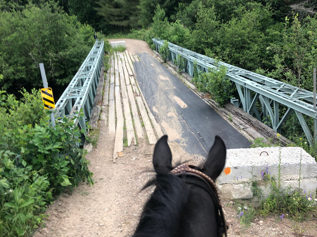 South Algonquin Trails-Harcourt必去景点